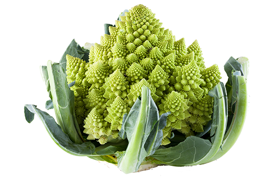 Romanesco